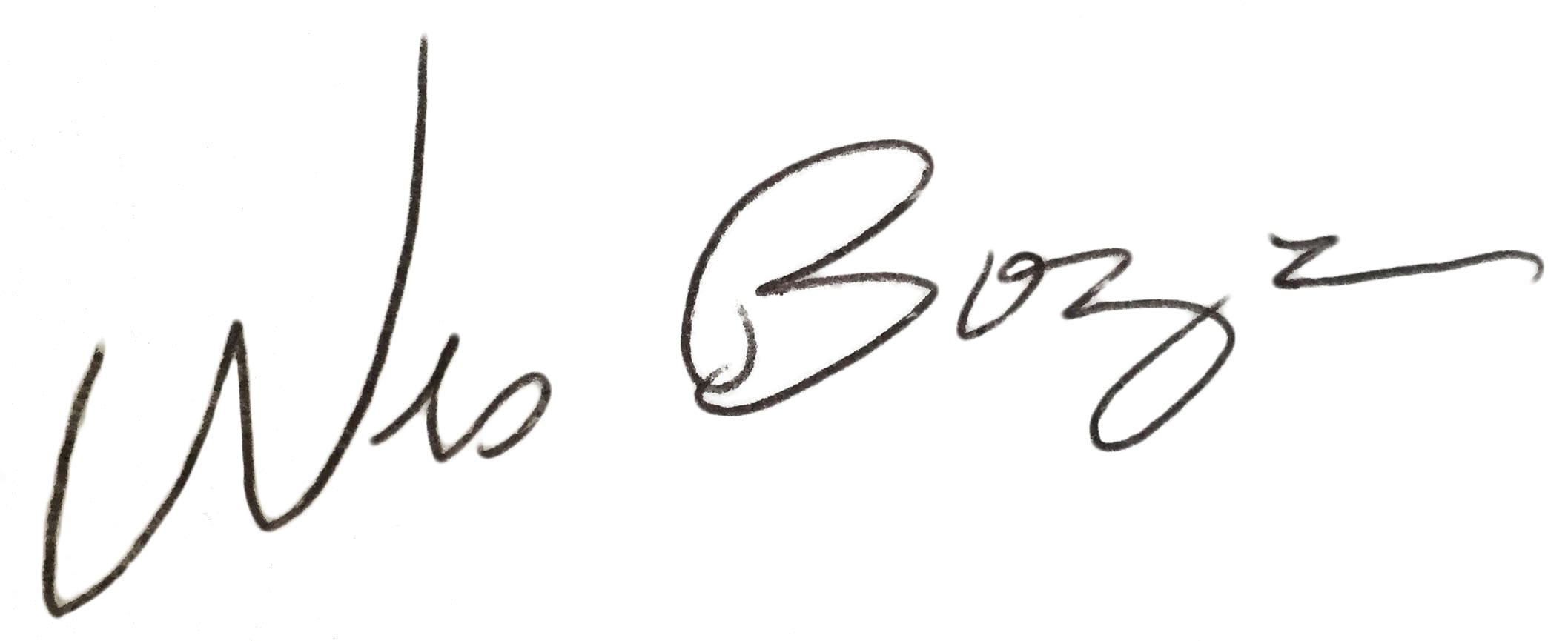Wesley Boyer signature